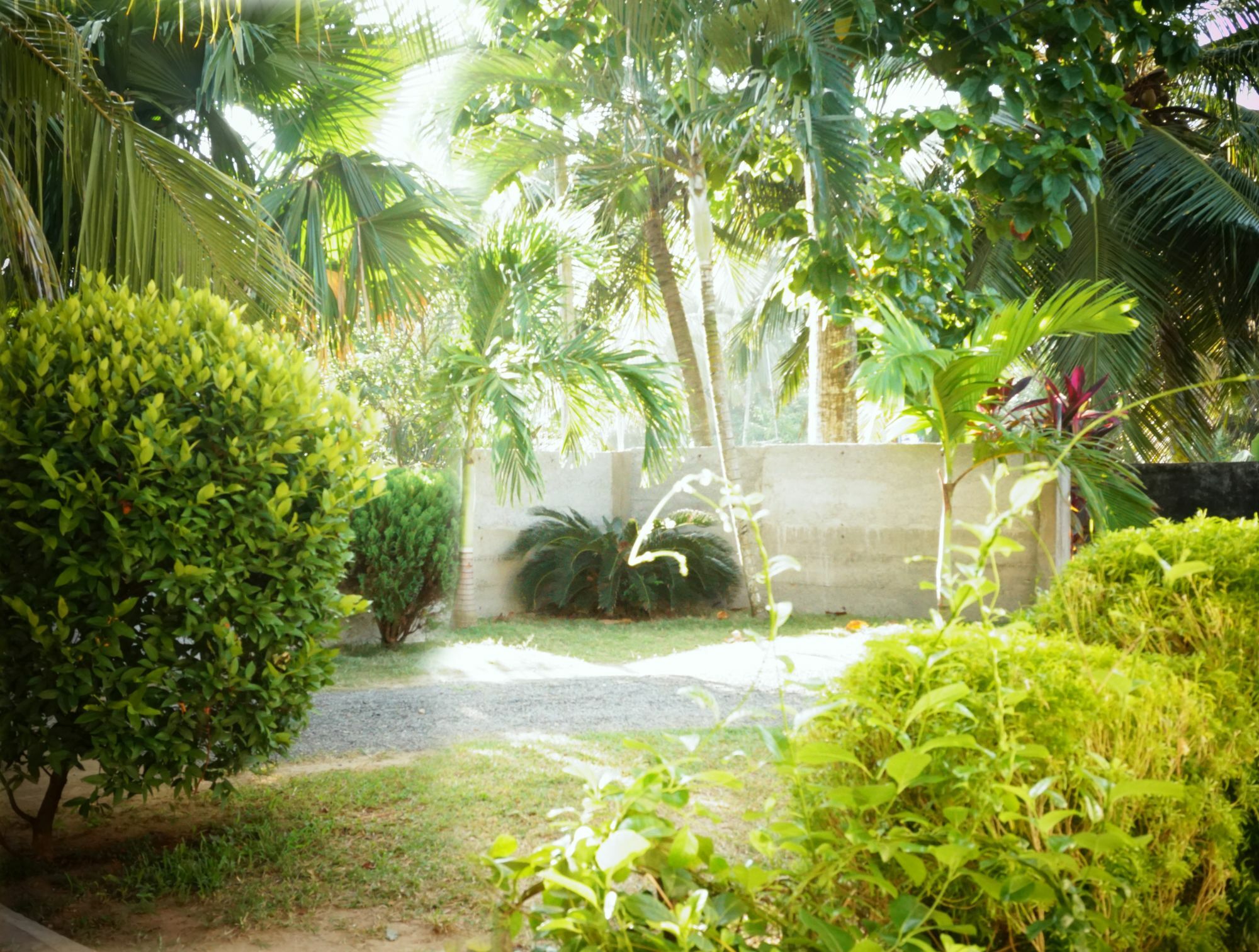 Liana Private Villa Near Tangalle Beach Buitenkant foto
